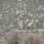 IMG_0600