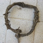IMG_1458 IMG_1458