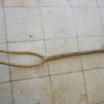 IMG_1463 IMG_1463