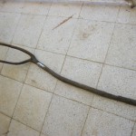IMG_1471 IMG_1471