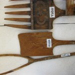 IMG_1481 IMG_1481