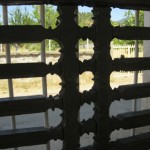 IMG_1485