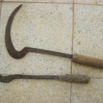 IMG_1490 IMG_1490