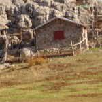Resim 251