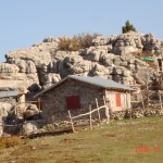 Resim 253