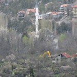 koy (82)