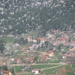 koy (88)