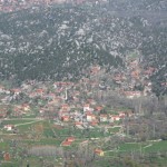 koy (89)