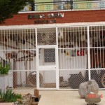 nisan 2008 (14)
