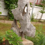 nisan 2008 (15)