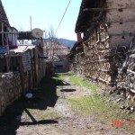 resimlerim 060