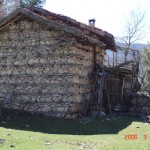 resimlerim 152