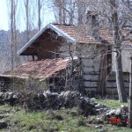 resimlerim 221