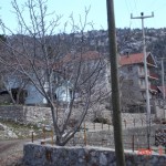 resimlerim 273