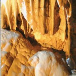 1-(11)