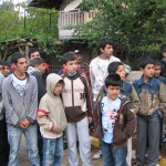 2009 (15) 2009 (15)