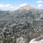 2011YYL (13) 2011YYL (13)
