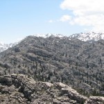2011YYL (2) 2011YYL (2)