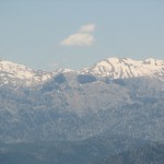 2011YYL (26) 2011YYL (26)