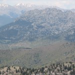 2011YYL (43) 2011YYL (43)