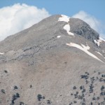 2011YYL (44) 2011YYL (44)
