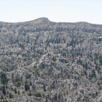 2011YYL (5) 2011YYL (5)