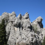 2011YYL (50) 2011YYL (50)