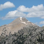2011YYL (69) 2011YYL (69)