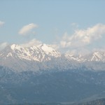 2011YYL (71) 2011YYL (71)