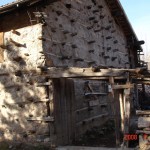 AsHN (61)
