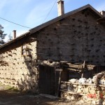 AsHN (62)