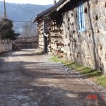 AsHN (74)
