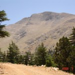 DSC03408