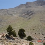 DSC03409