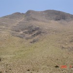 DSC03410
