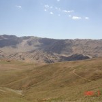 DSC03433