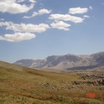 DSC03434