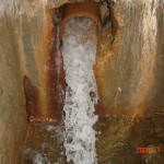 DSC03443
