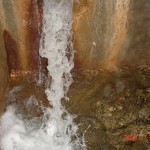 DSC03446