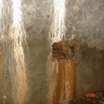 DSC03448