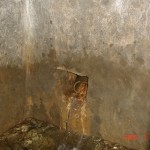 DSC03449