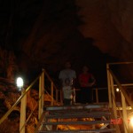 DSC03541