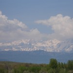 DSC05320