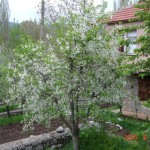 DSC07280