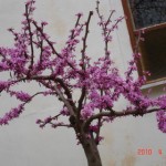 DSC07282