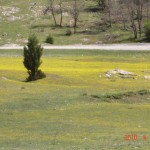 DSC07302