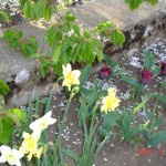 DSC07308