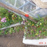 DSC07310