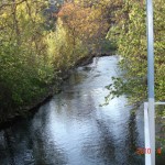 DSC07318