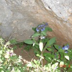 DSC07339